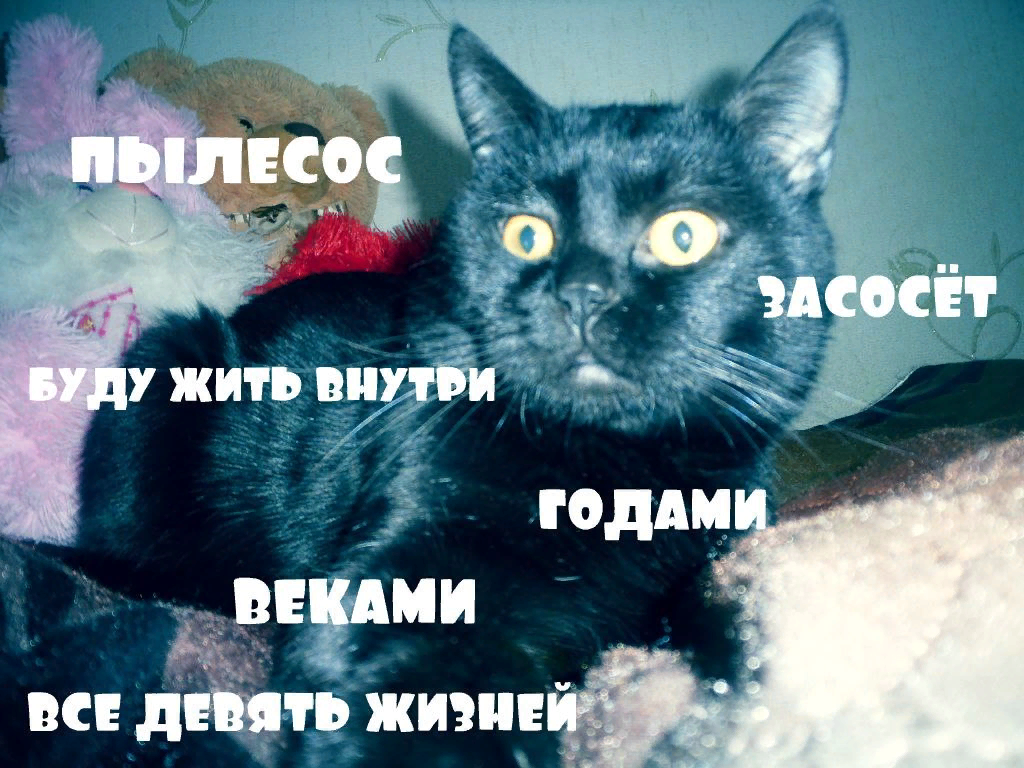 годовой абонемент. здравствуйте хотели. здравствуйте хотите записаться.