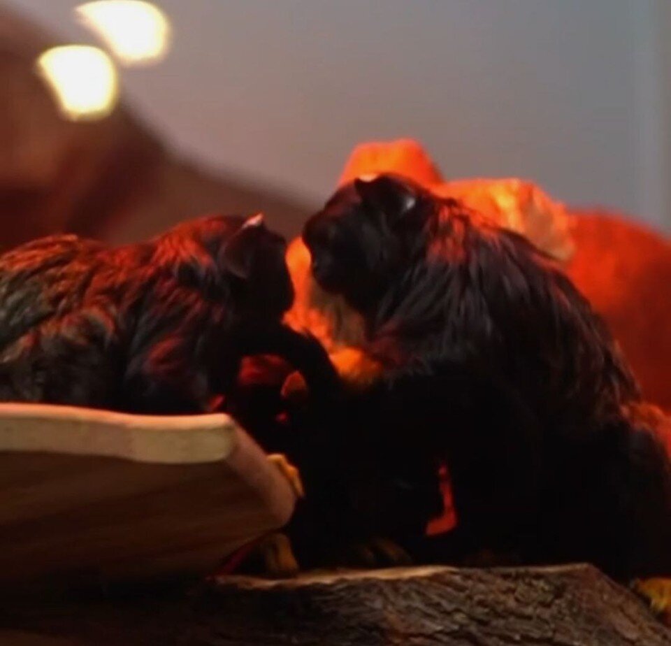 Приютово роддом. Детский сад 35 невского района. Садик 35 оренбург. Детский сад 35 энгельс. Детский сад 35 сызрань.