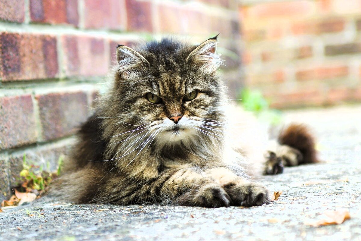 Источник: Яндекс.Картинки