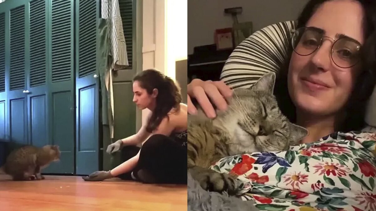 Девушка с котом спереди. Фотосессия с кошкой. Девушка с котом. Девушка кошечка. Девушка и кот видео.