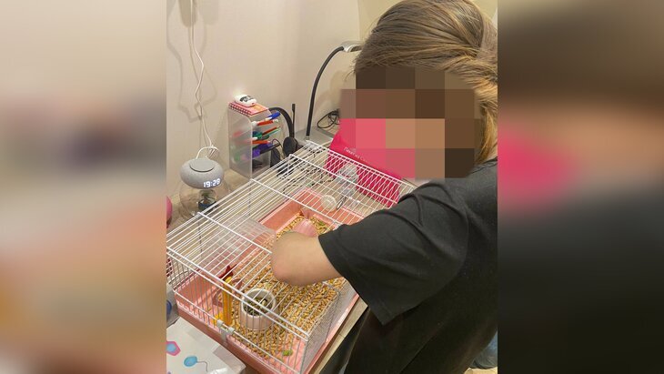 В школе 80 пятиклассников 3 5. В школе 80 пятиклассников 3 5