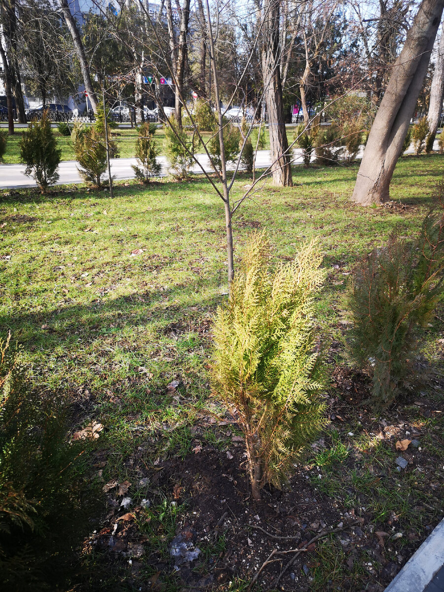 Где работать в симферополе. Где работать в симферополе. Центральный рынок симферополь. Где работать в симферополе. Кинотеатр шевченко симферополь.