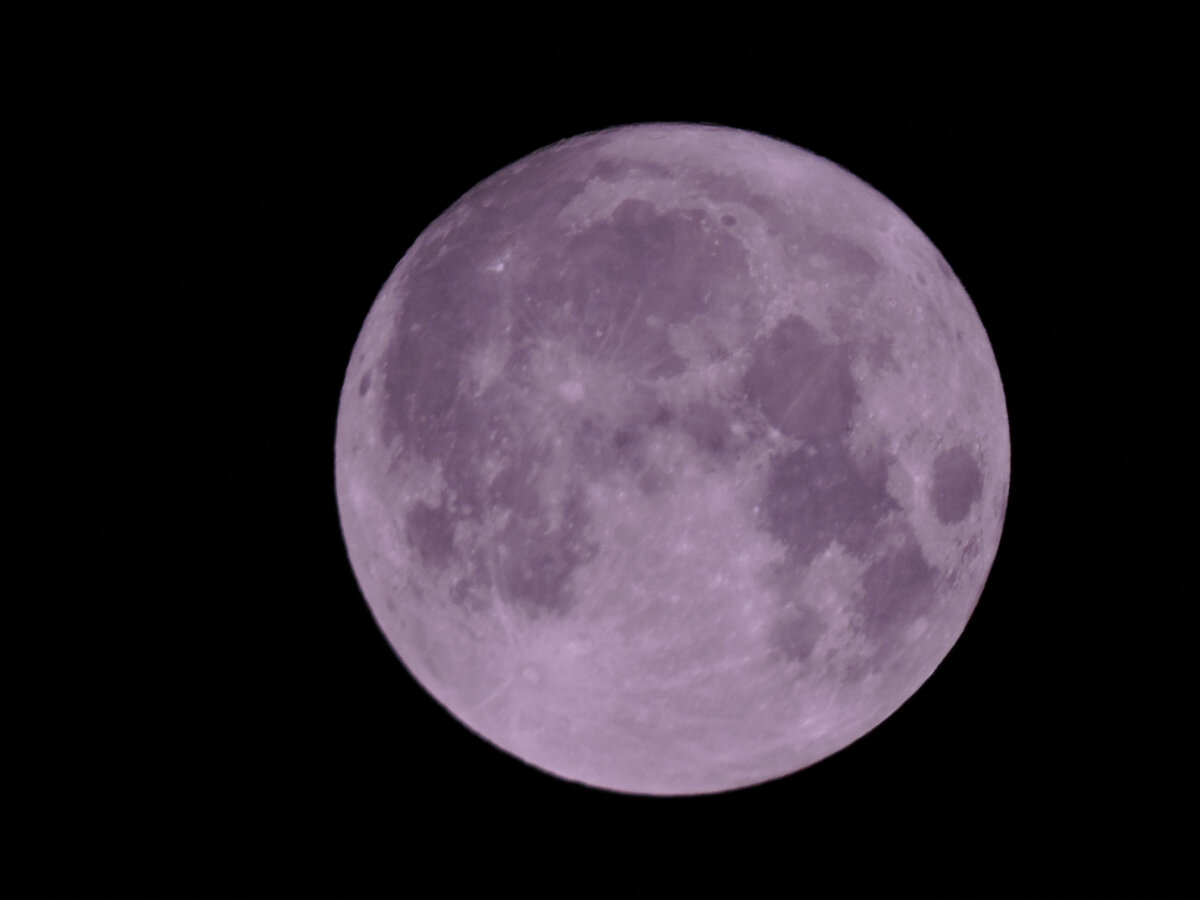 Фото Светланы Лунной