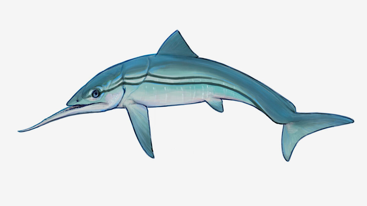 pedosirenpd / X (доступ к социальной сети заблокирован на территории России)📷Художественная реконструкция Alienacanthus