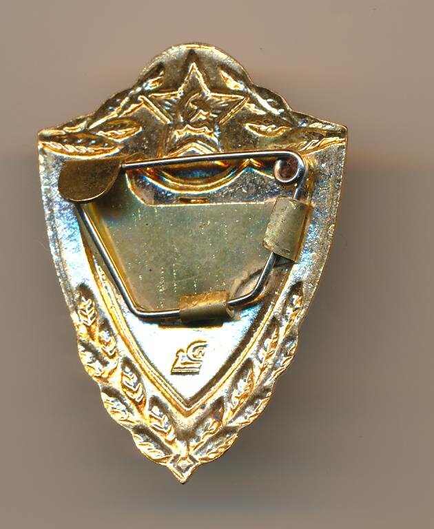 военнослужащие сверхсрочной службы