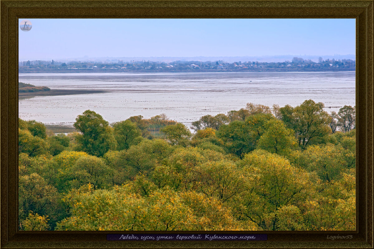 Верховья Краснодарского водохранилища. На противоположном берегу восточная часть села Красногвардейское. 