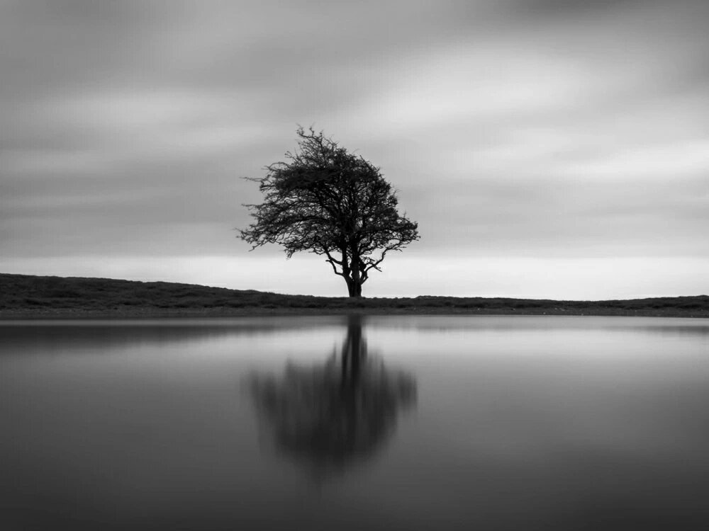 яндекс картинки