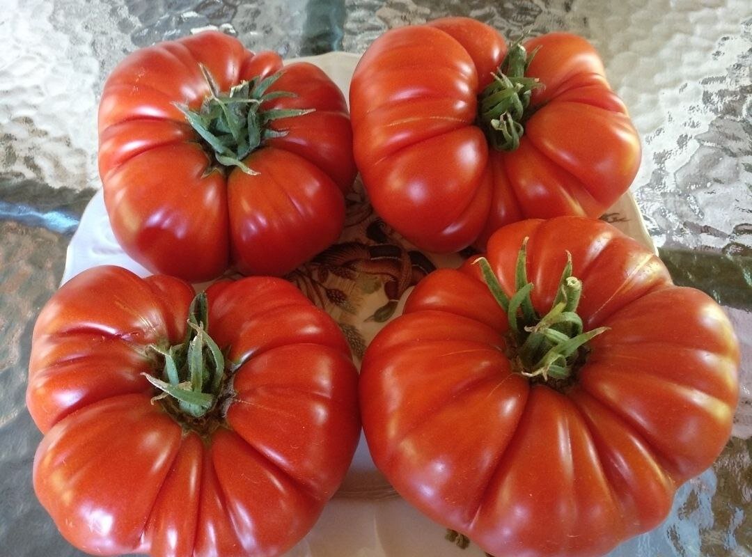Пока многие садовые блогеры дружно уговаривают  нас сеять эустому, мы обсудим с вами когда же сеять томаты. 
 Скажу сразу, надо понимать, что все сроки условны.