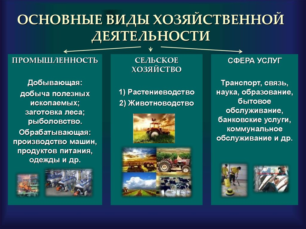 Тип сельского населения. Хозяйственная деятельность человека. Виды хозяйственной деятельности. Виды хозяйственной деятельности человека. Виды хоз деятельности.