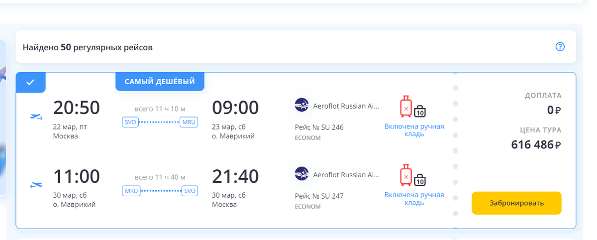 лето веселье. сначала плохо поступают а потом хотят нормального отношения. высказывания про отпуск. кошка загорает на пляже. кошачьи мечты.