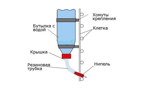 Строительство вольера для нутрий своими руками