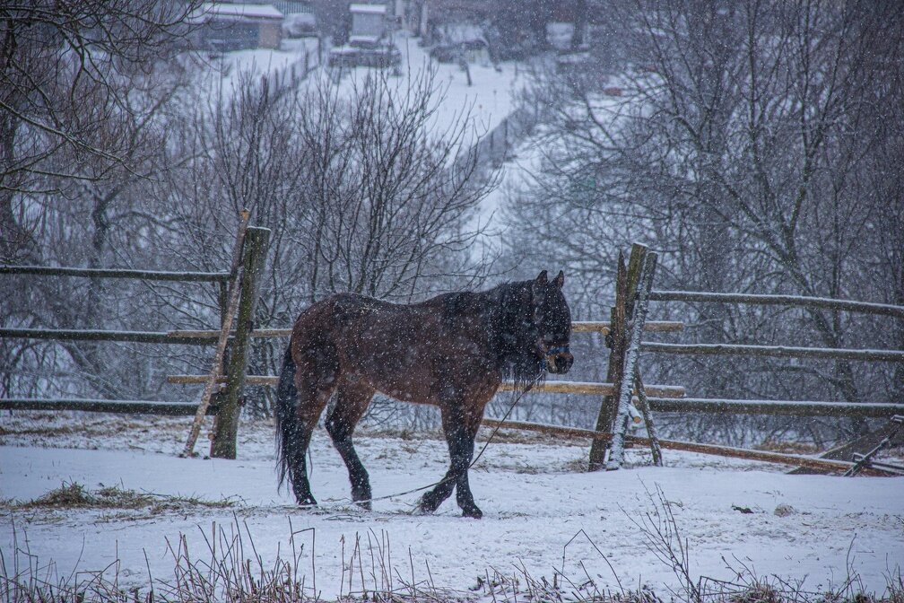 ИА SM.News Тюмень📷
