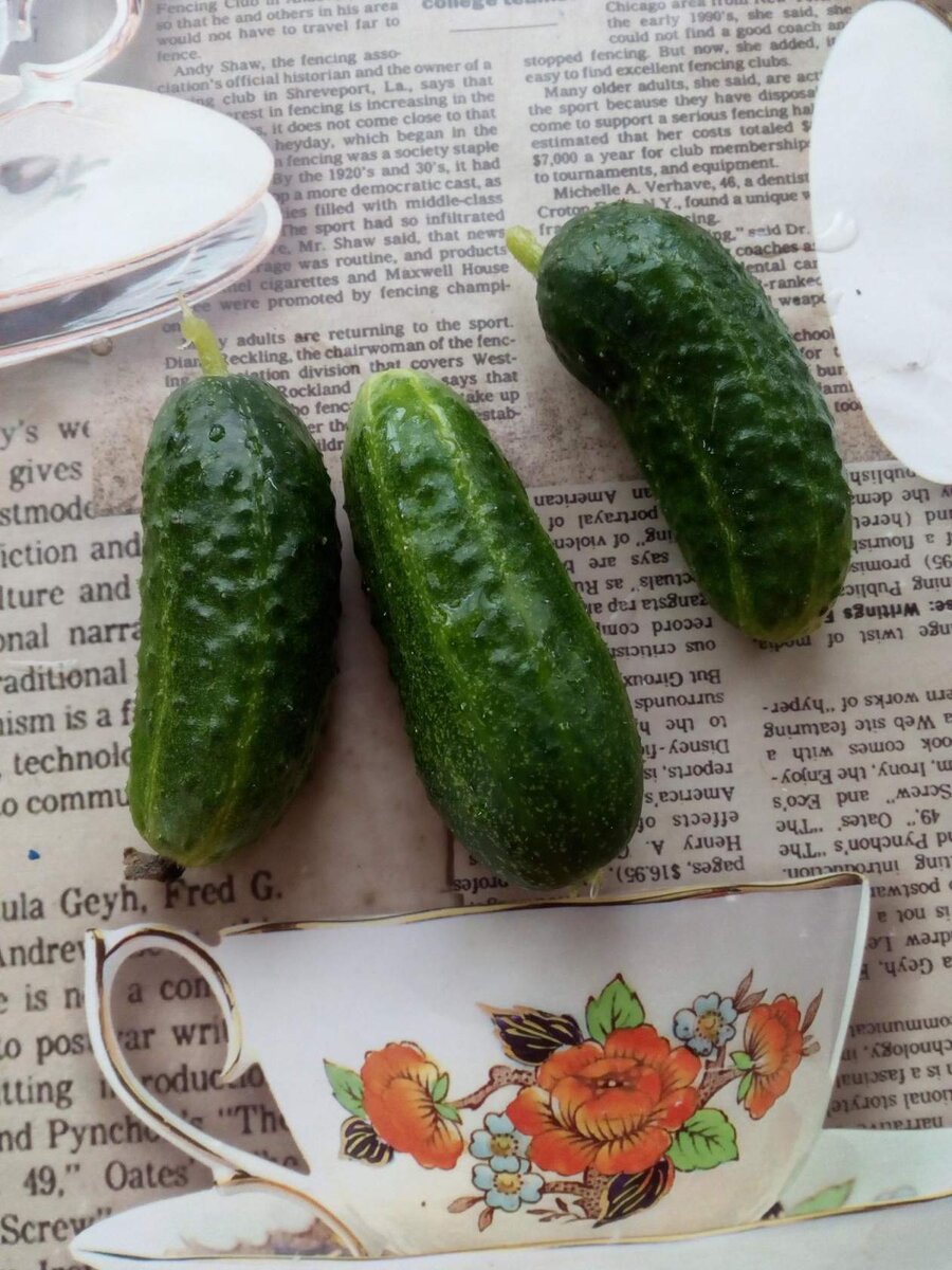 Свой урожай это что то особенное, вкуснее его нет на свете.