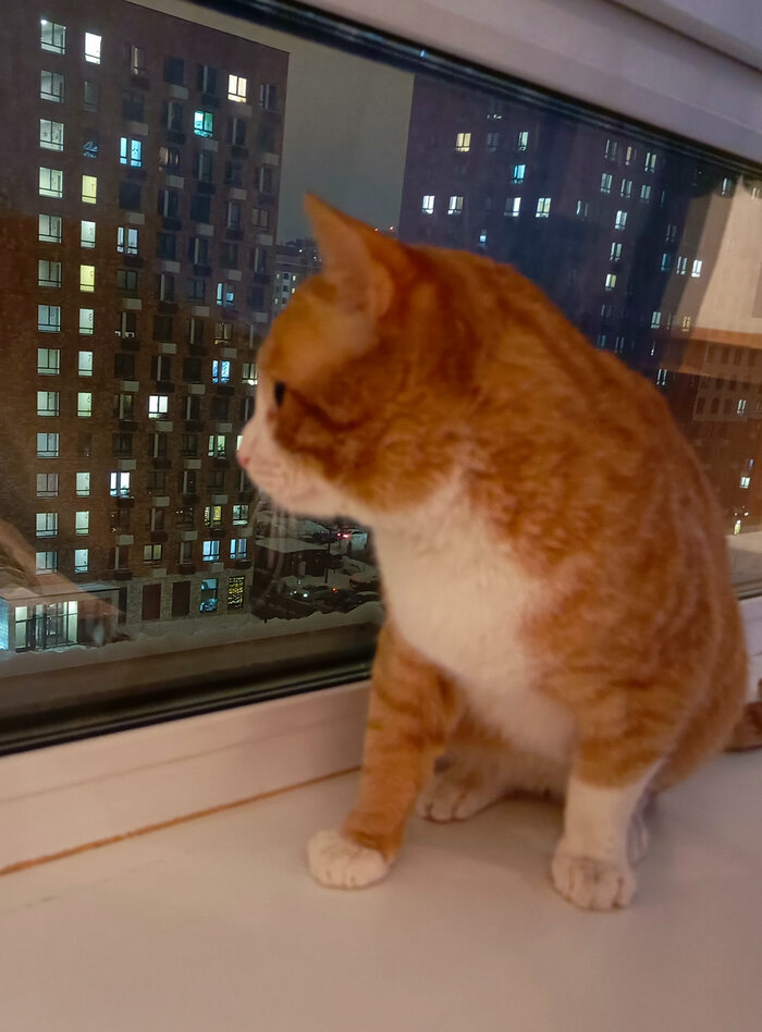 Куда можно сходить в люберцах. Куда можно сходить в люберцах. Тц орбита люберцы космополис. Наташинский парк в люберцах 2022. Светофор, люберцы, улица побратимов, 7.