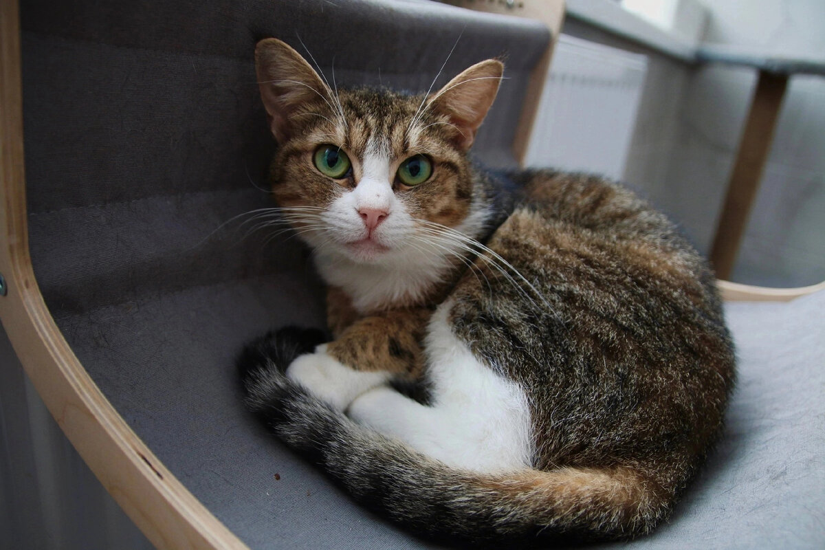 Дом льна санкт петербург. Магазин льна на дзержинского. Вологодский текстиль халаты. Дом льна санкт петербург. Дом льна санкт петербург.