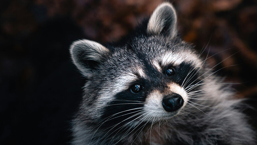 журнал мой маленький город. маленький город журнал. маленький город журнал. журнал моя маленькая галактика. журнал мой маленький город.