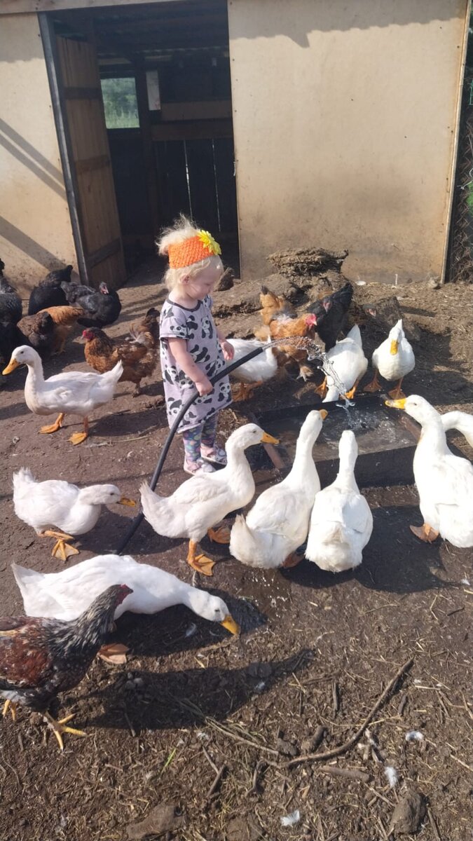 Трудовые будни 