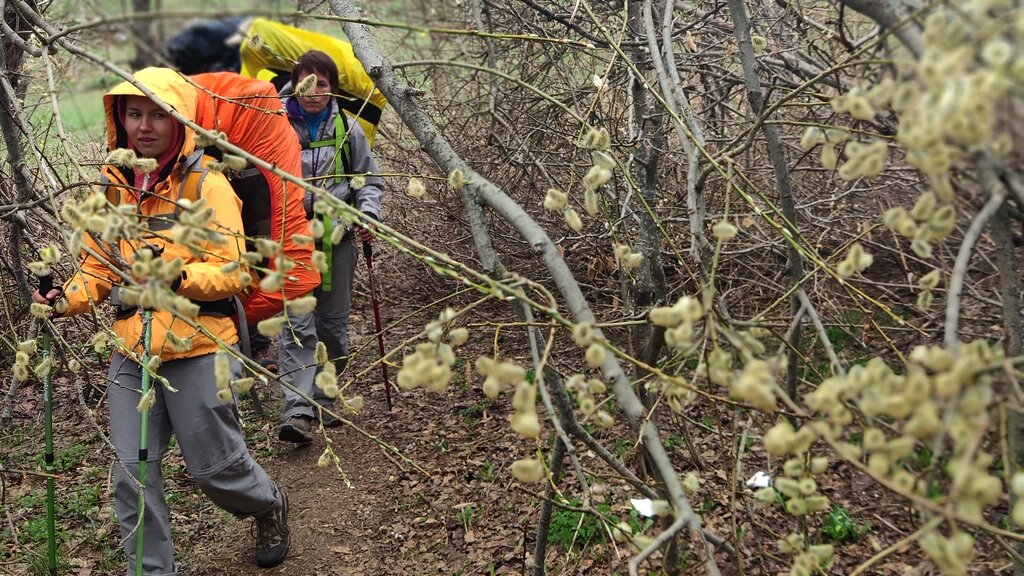 за продолжение пути оставлю. продолжение пути. изречения о дороге. фразы про путь и дорогу. стремись к цели.