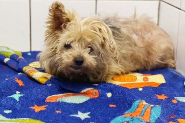    Фото: Из архива/ Ветеринарный комплекс