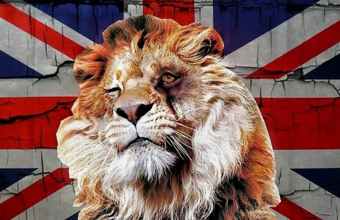 Зз лев знак. Лев охотица цветные рисунки. Лев 23. 23 августа лев. Лев 23 5.