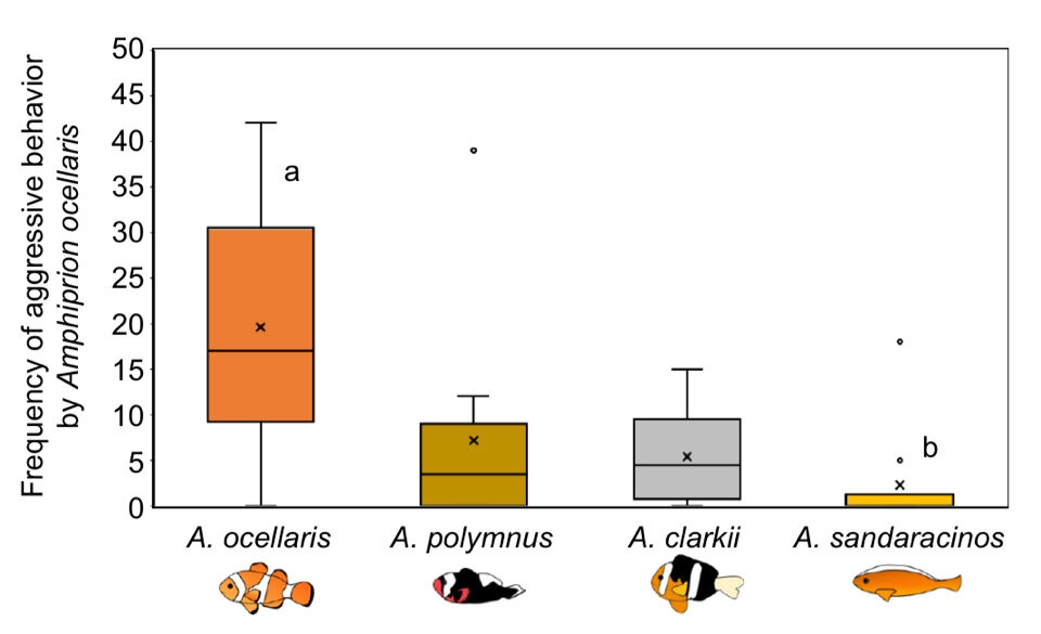   Kina Hayashi et al. / Journal of Experimental Biology, 2024