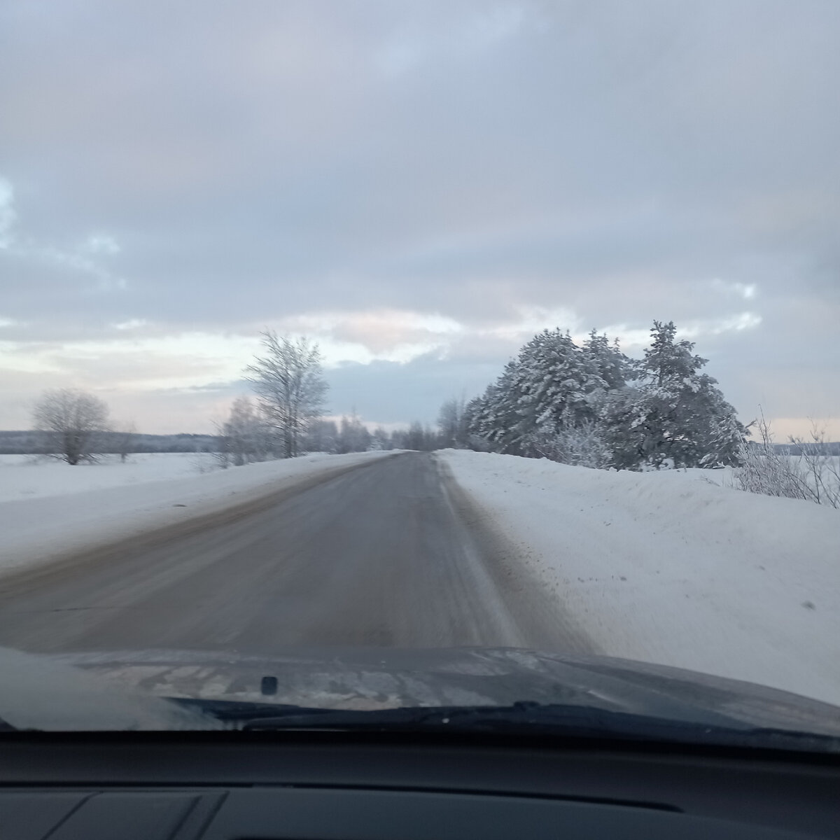 ленский дуэль. смерть ленского. евгений онегин в деревне иллюстрации. с. евгений онегин в деревне иллюстрации.