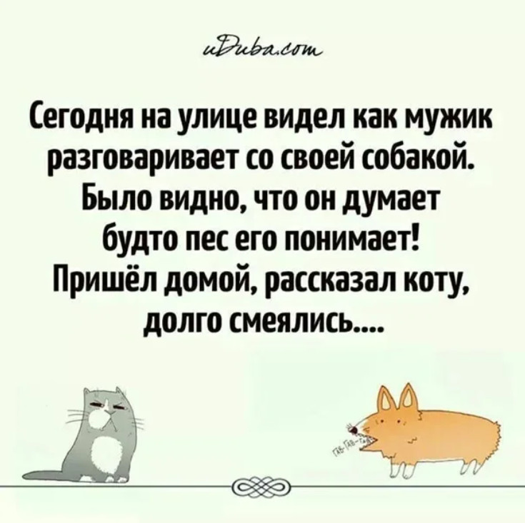 На улице вижу хуже. Анекдоты о котах. Стих разговор с котом. Разговаривайте вы с котом.