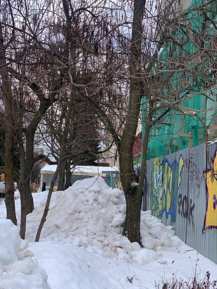 сиреневый бульвар 19а. управляющая компания бульвар воронеж. ул бульвар победы воронеж. бульвар победы 43. управляющая компания жилищный аргумент.