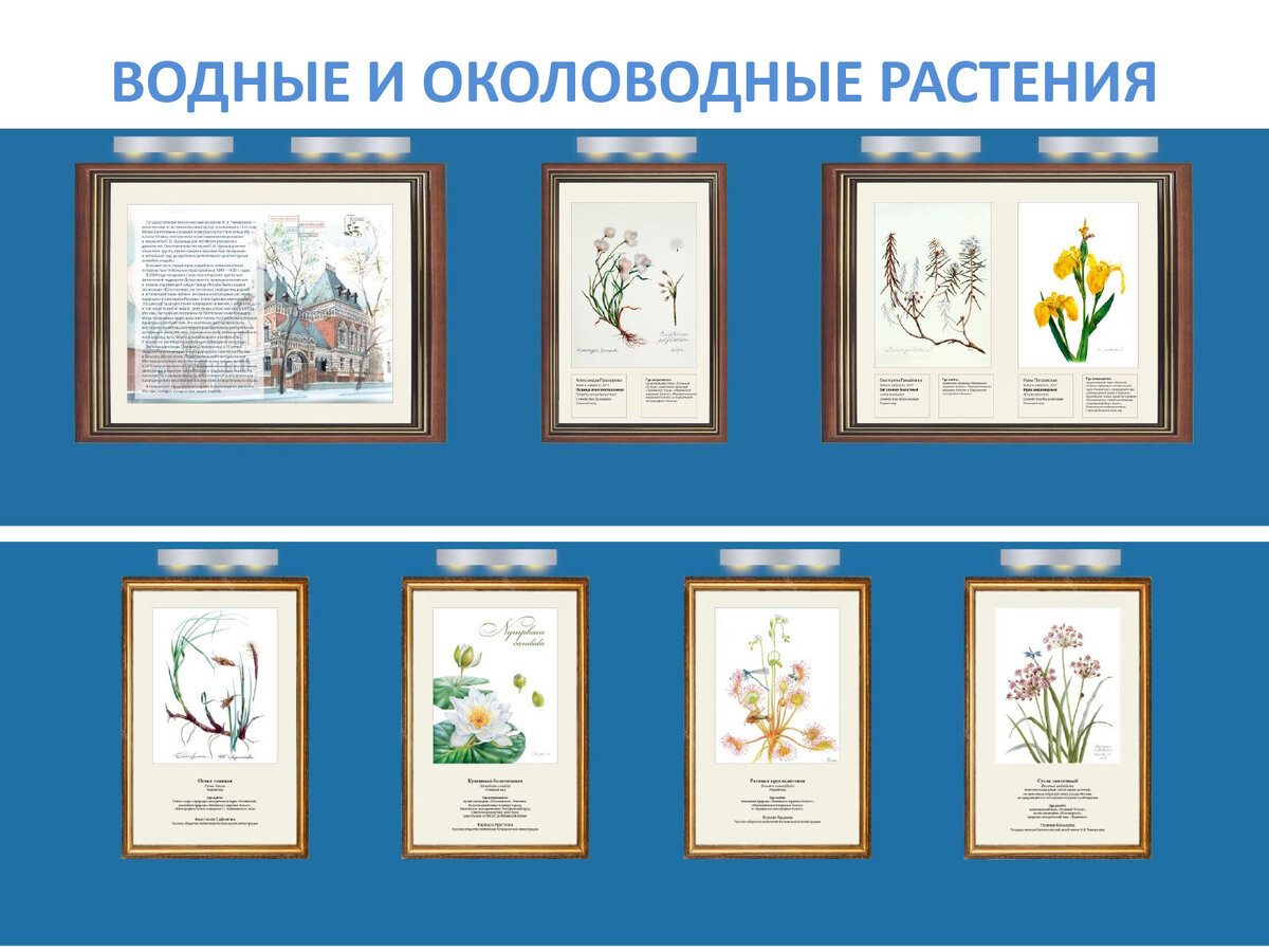 Синий вагон