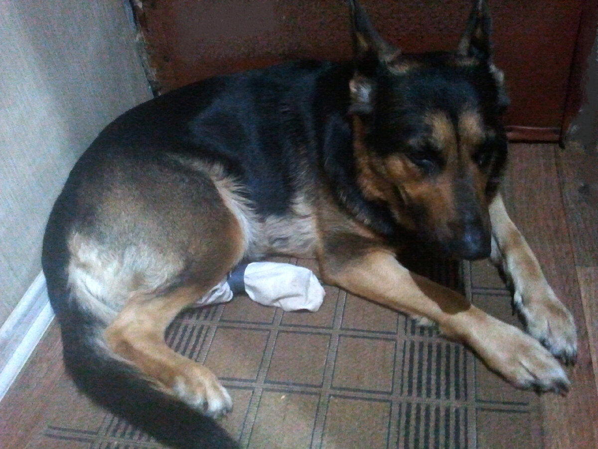 Фото автора