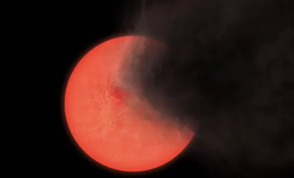 Анна кошмал. Женя незаметно в. Убийство знаменитостей. Реальные жены. Женя незаметно в.