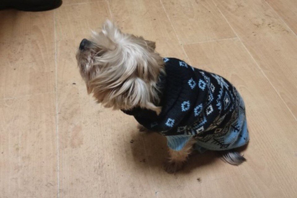 Комитет по отходам петербург. Комитет по управлению городским имуществом. Экопункт для опасных отходов. Твердые коммунальные отходы в спб. Экомобиль санкт-петербург.