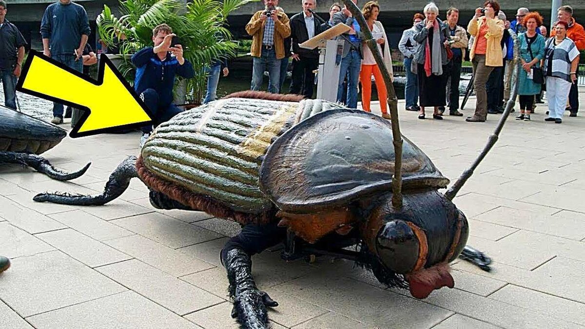 Королевский мастиф. Собака кавказская овчарка большая. Можно громадный. Огромный лось. Собаки гиганты.