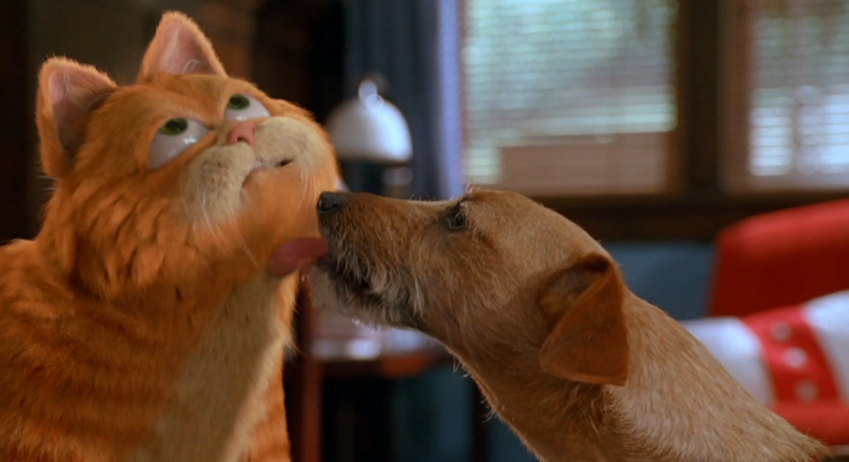 Обои с мишками. Я люблю тебя добрую милую. Открытки с обнимашками и поцелуями. Я люблю тебя добрую милую. Хорошего дня картинки красивые.