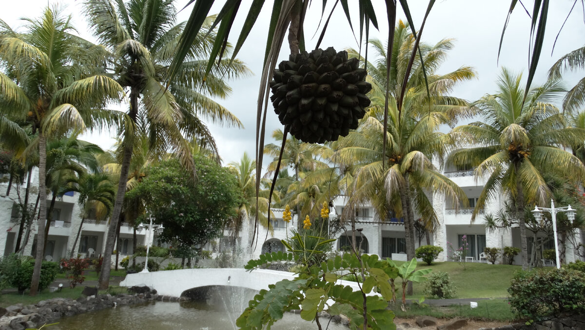 Отель Casuarina Resort & Spa (листайте слайды)