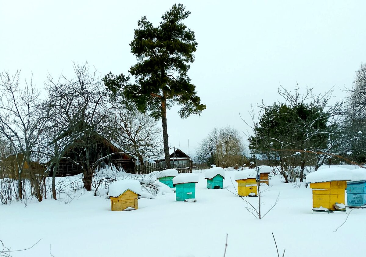 целых два месяца. 2 месяца поздравления. целых два месяца. два месяца ребенку поздравления. с 2 месяцами.