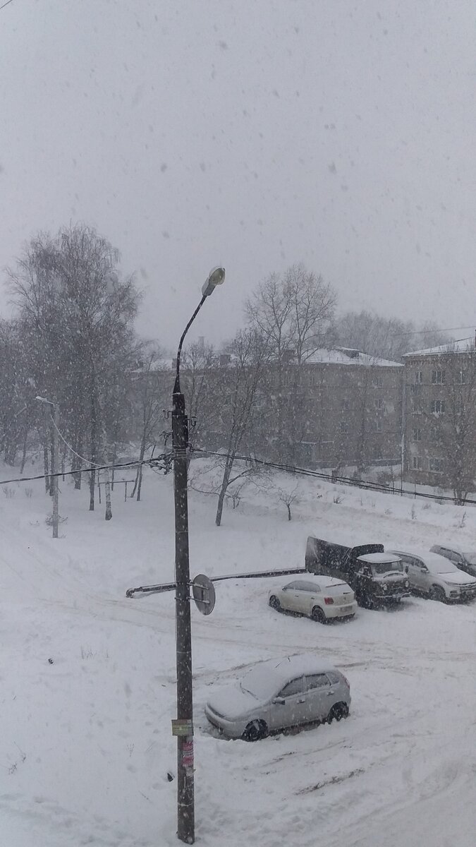 Снегопад, снегопад.... фото автора