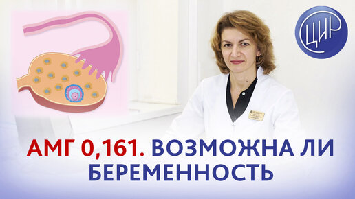 Цир беременность