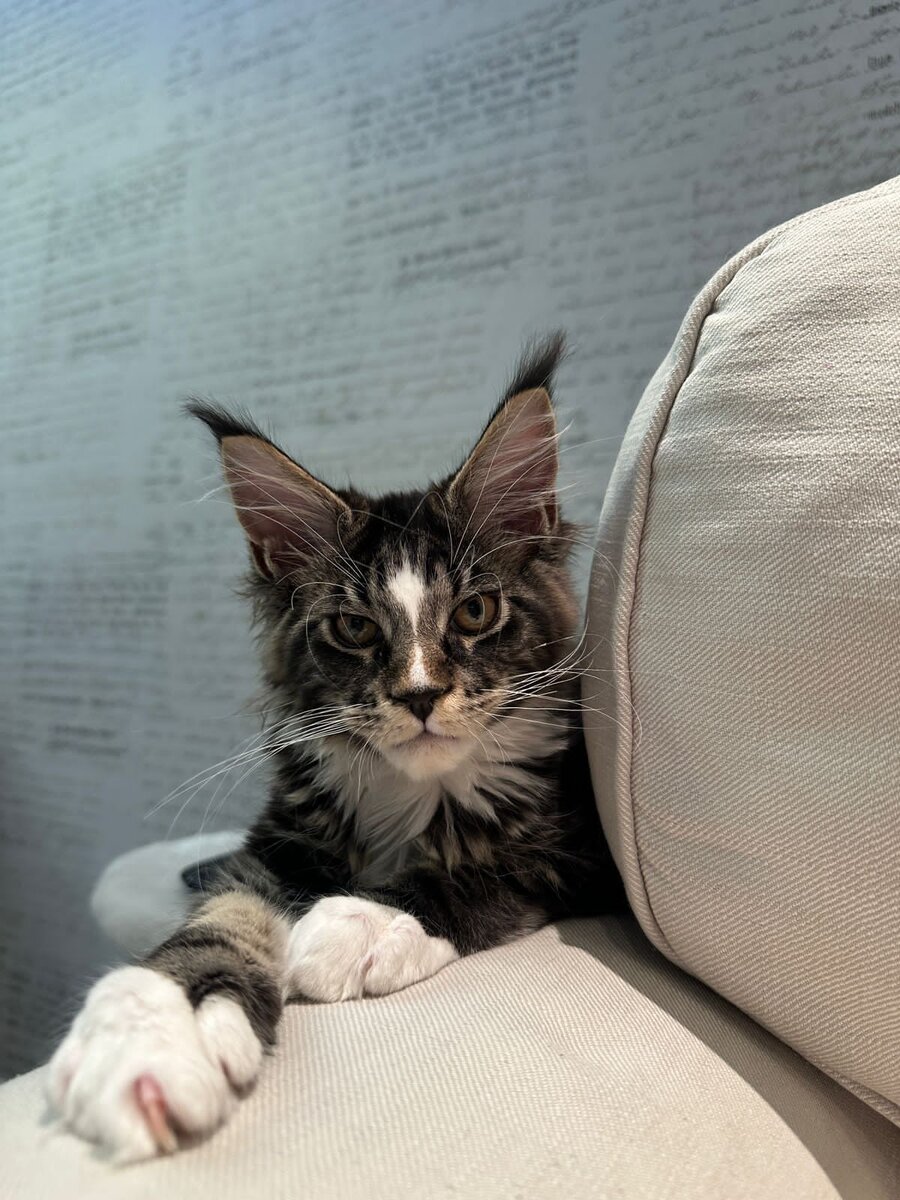 пенсия 12000. как выжить на 1000 рублей в неделю. список продуктов питания на месяц на 3 человек. можно ли прожить на 15. прожить на 500 рублей в неделю.