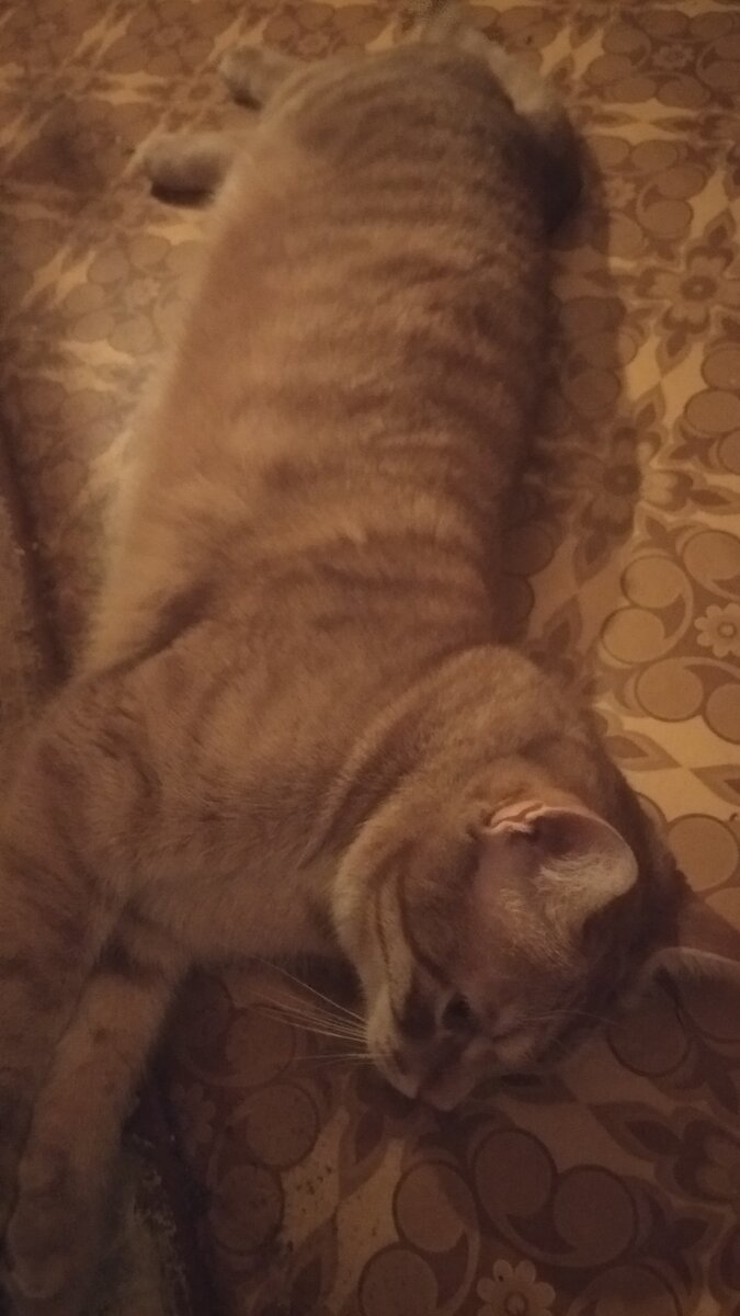 любовь с любимым человеком. пусть ты далеко но в мыслях постоянно. женщина обнимает. картинки про любовь. они так хотят встретить.