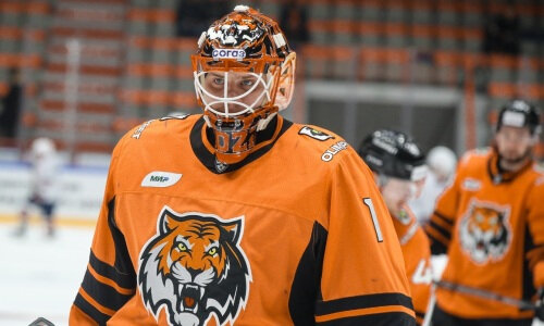 команда амурские тигры хоккей. хоккеист фото картинки. в хабаровске амур дарио. амур хабаровск время. амур хабаровск против сборной японии хоккей.