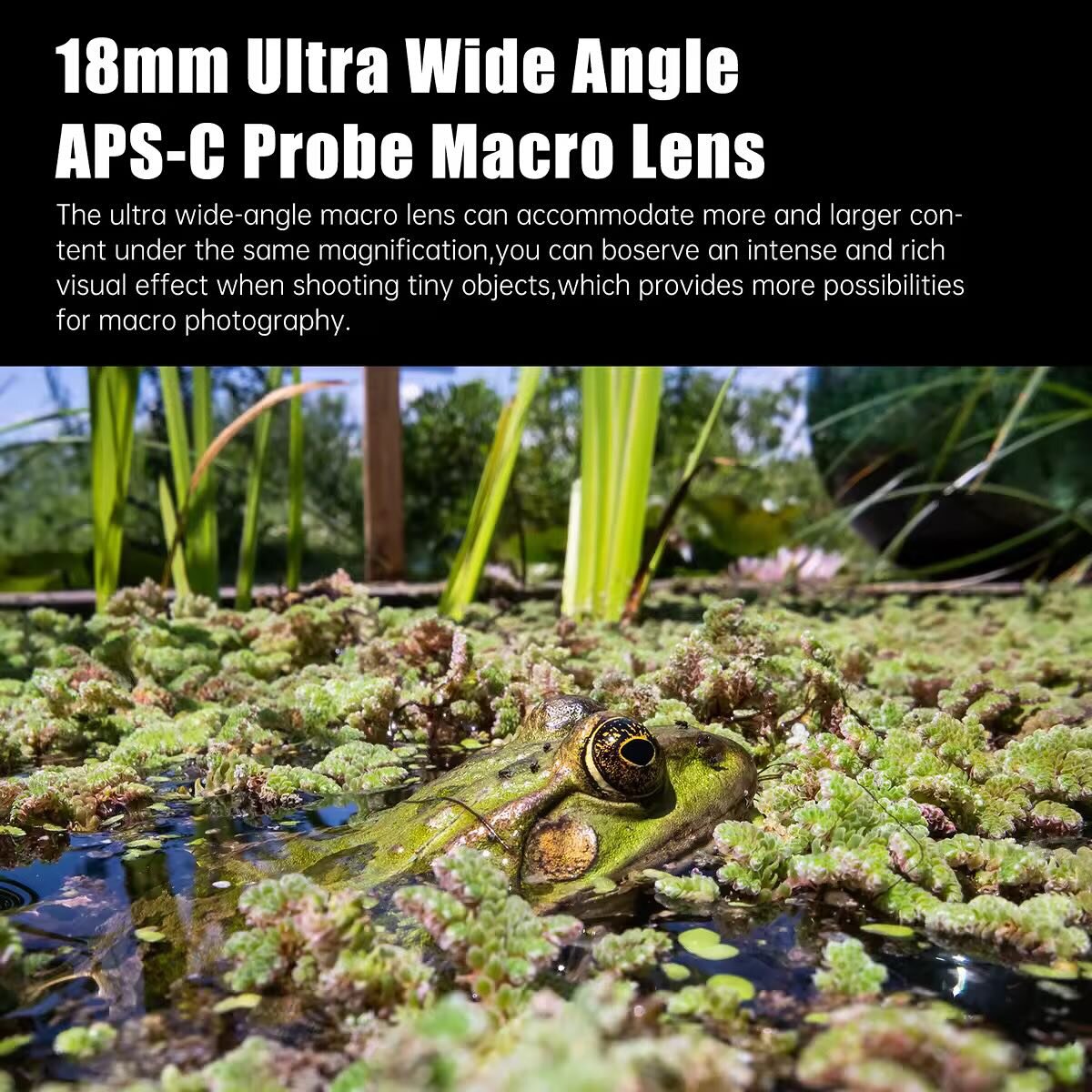 18 2x 10 2 x. 2x+10/x2+x-20. X 2 x 1 0 решение уравнения. Решение уравнений. X3−6x2−11x+12=3−x.