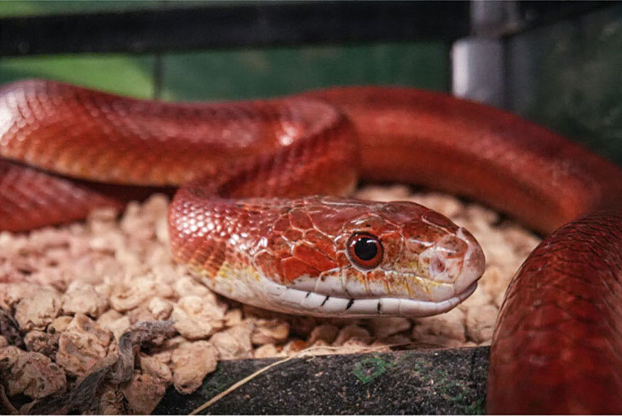 (х2-16)2 + (х2+х-20)20=0. 2x 10 x 2 x 20. 5x 5 - 15x 3. 2x 10 x 2 x 20. Х+1/12=1/3.