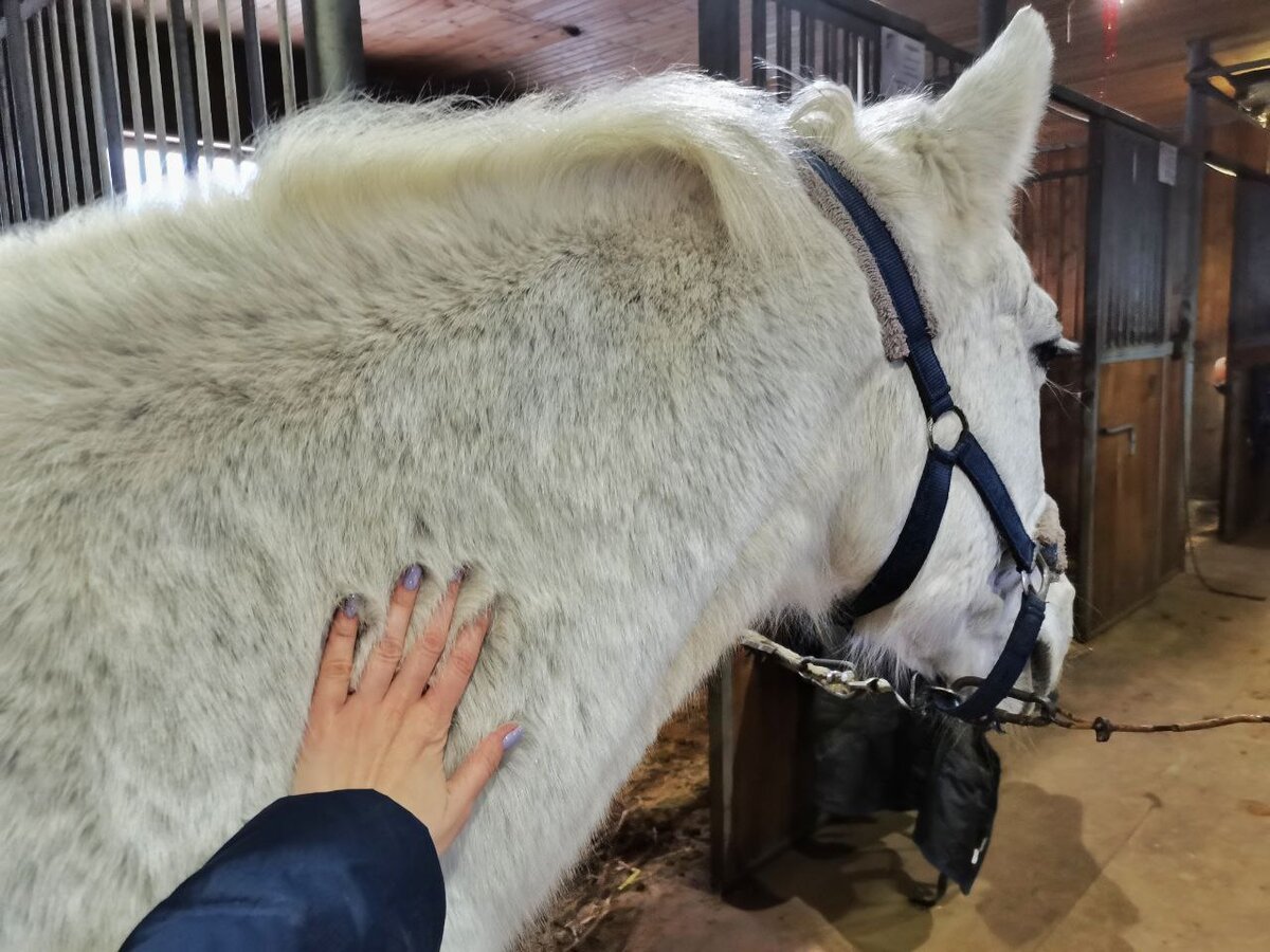 Фото: из личного архива Юлии Ивановой 