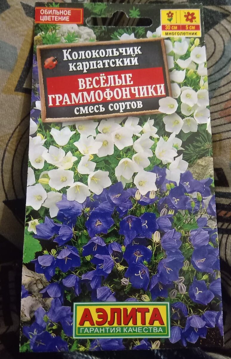 Тренд семян, которые будут в 2024 г посажены у нас на даче . Игра | Наша  жизнь г. Воронеж | Дзен