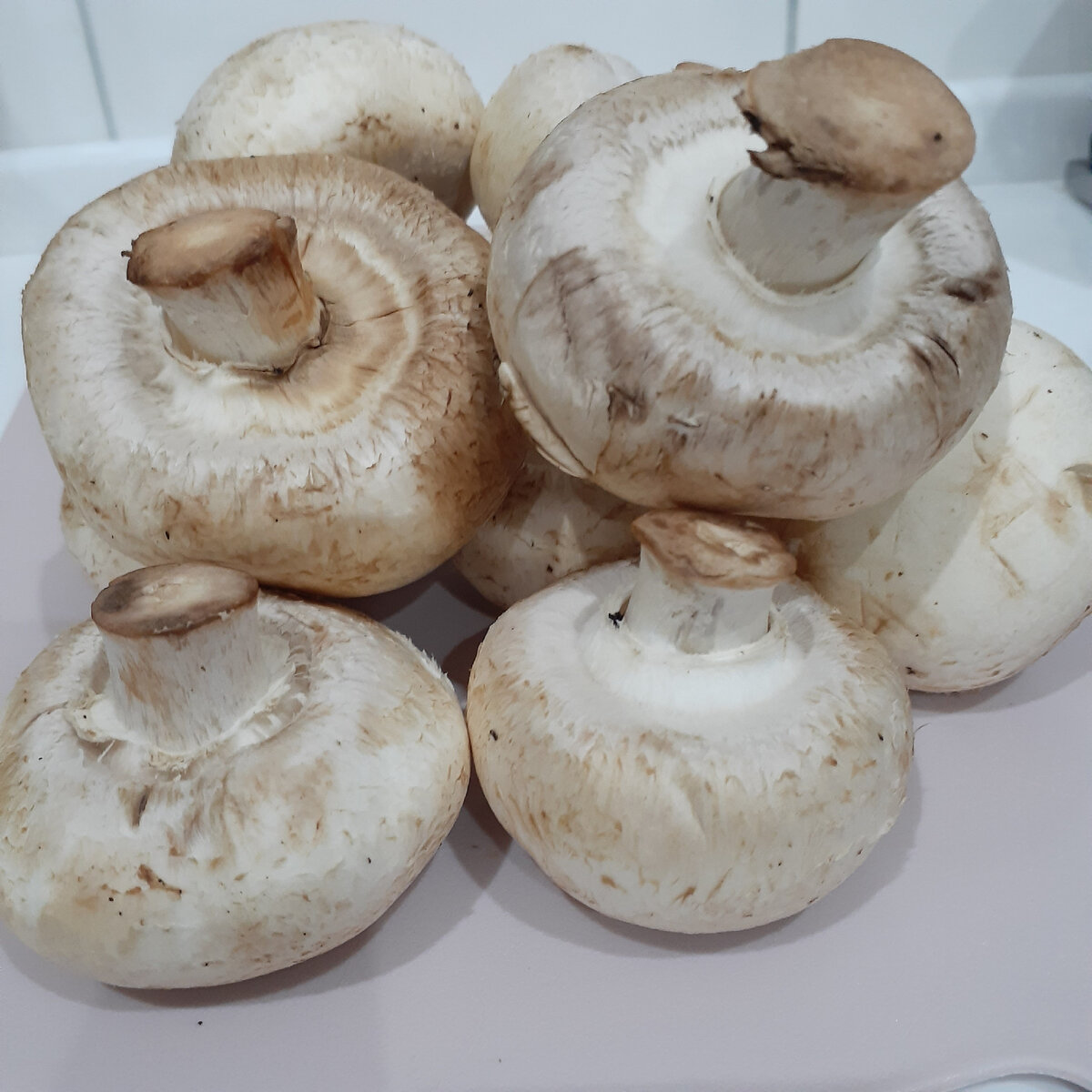 Шампиньоны