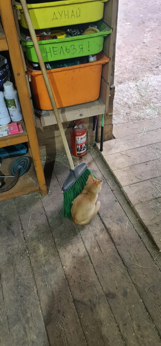 Где работать раку. Биомониторинг воды улитки юзос. Биомониторинг воды улитки юзос. Кривошеев алексей олегович воксимплпнт. Где работать раку.