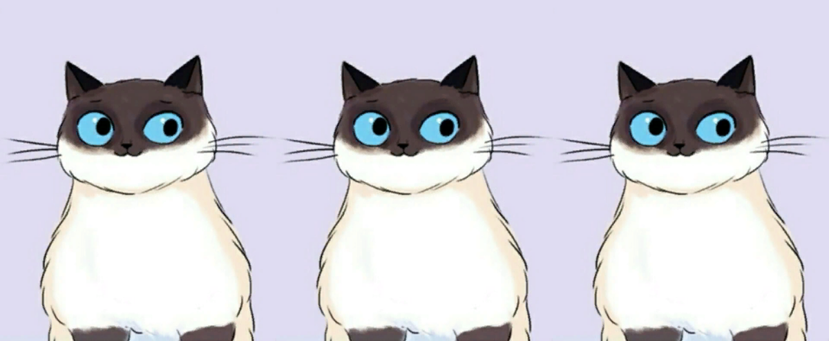 Найди лишнего котика