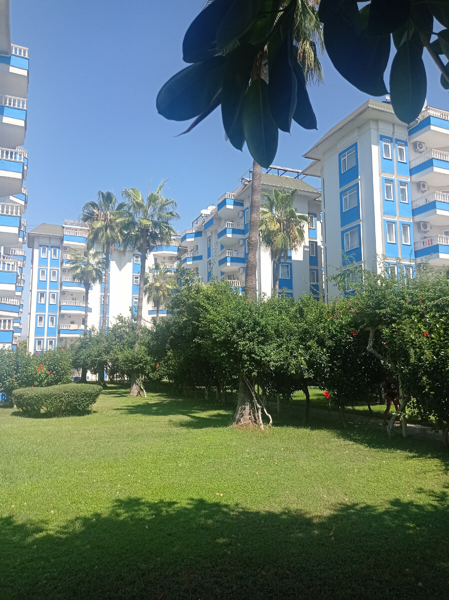 Карта рынка атлант ростов на дону. Оптовый рынок в ростове на дону атлант. Куда переедет алмаз. Рынок алмаз в ростове на дону. Куда переедет алмаз.