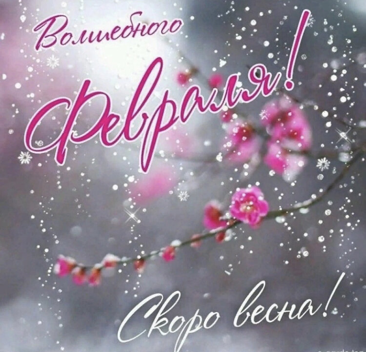 Хорошего настроения на весь день. Доброго февральского дня. Хорошего дня и отличного настроения. Открытки с добрым утром февраля. Открытки хорошего зимнего настроения.